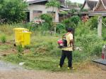 โครงการรักษาความสะอาด ปลูกต้นไม้ ถนนสายรอง และชุมชน ประจำปีง